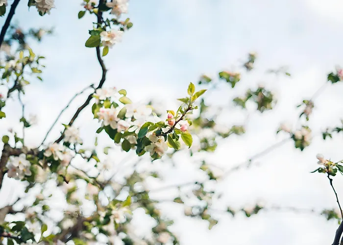 Stremme * Altenlotheim